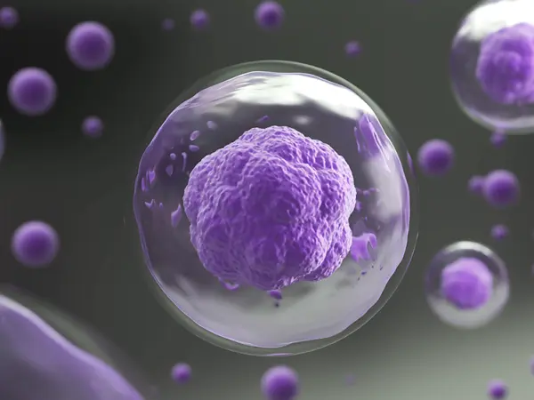 Proteasome inhibitors