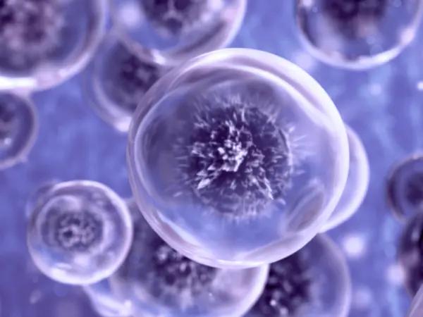 Aggressive B-cell lymphomas