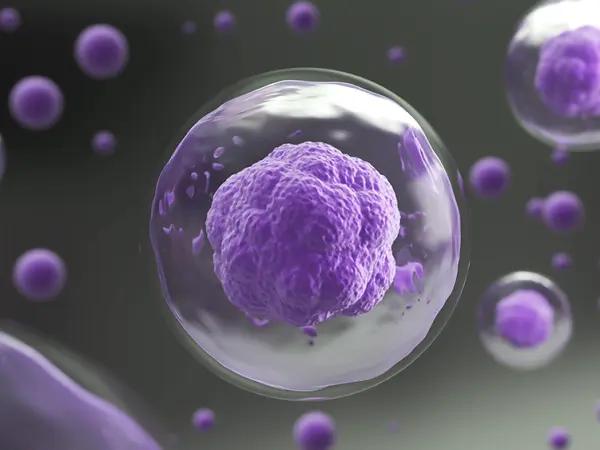 Proteasome inhibitors