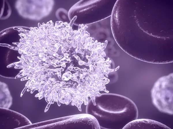 Chronic lymphocytic leukemias