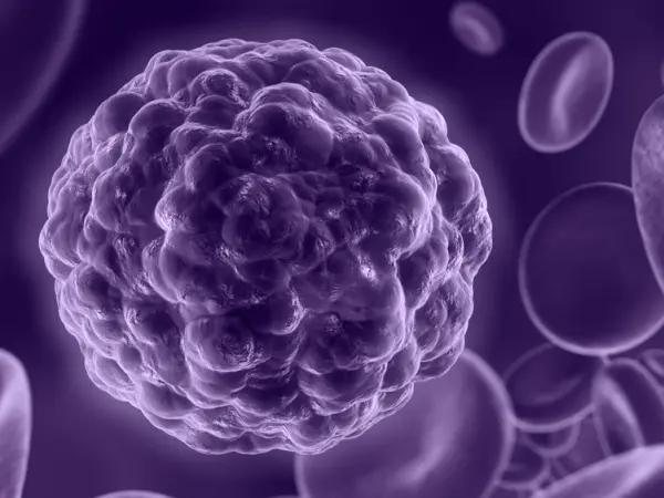 Indolent B-cell lymphomas
